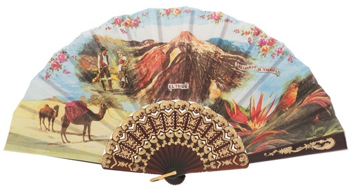 [115] Abanico plástico colección